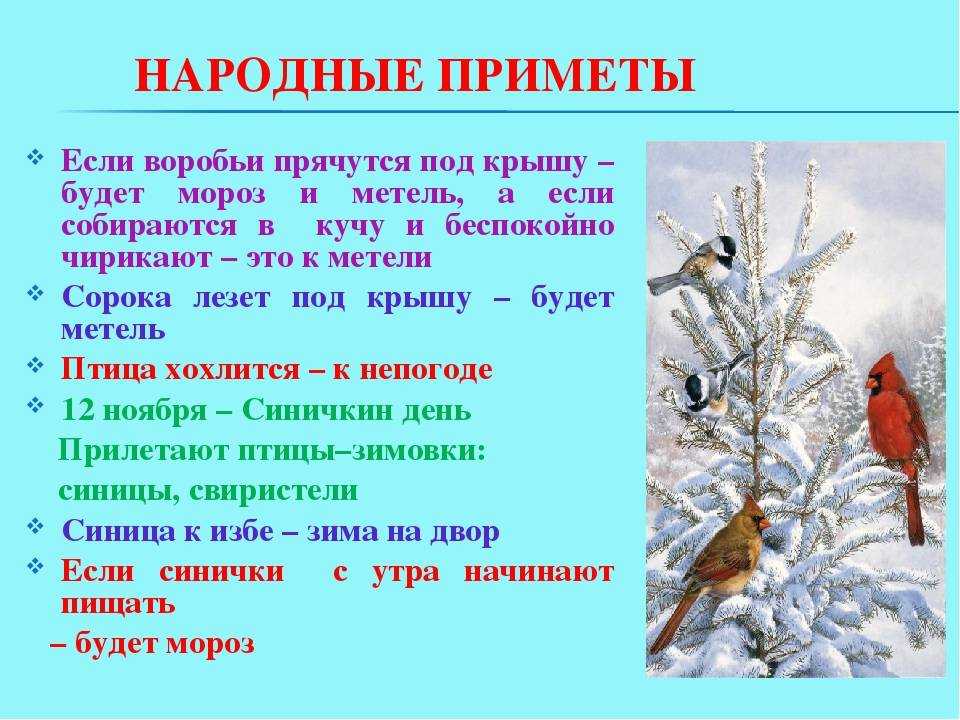 Приметы зимы