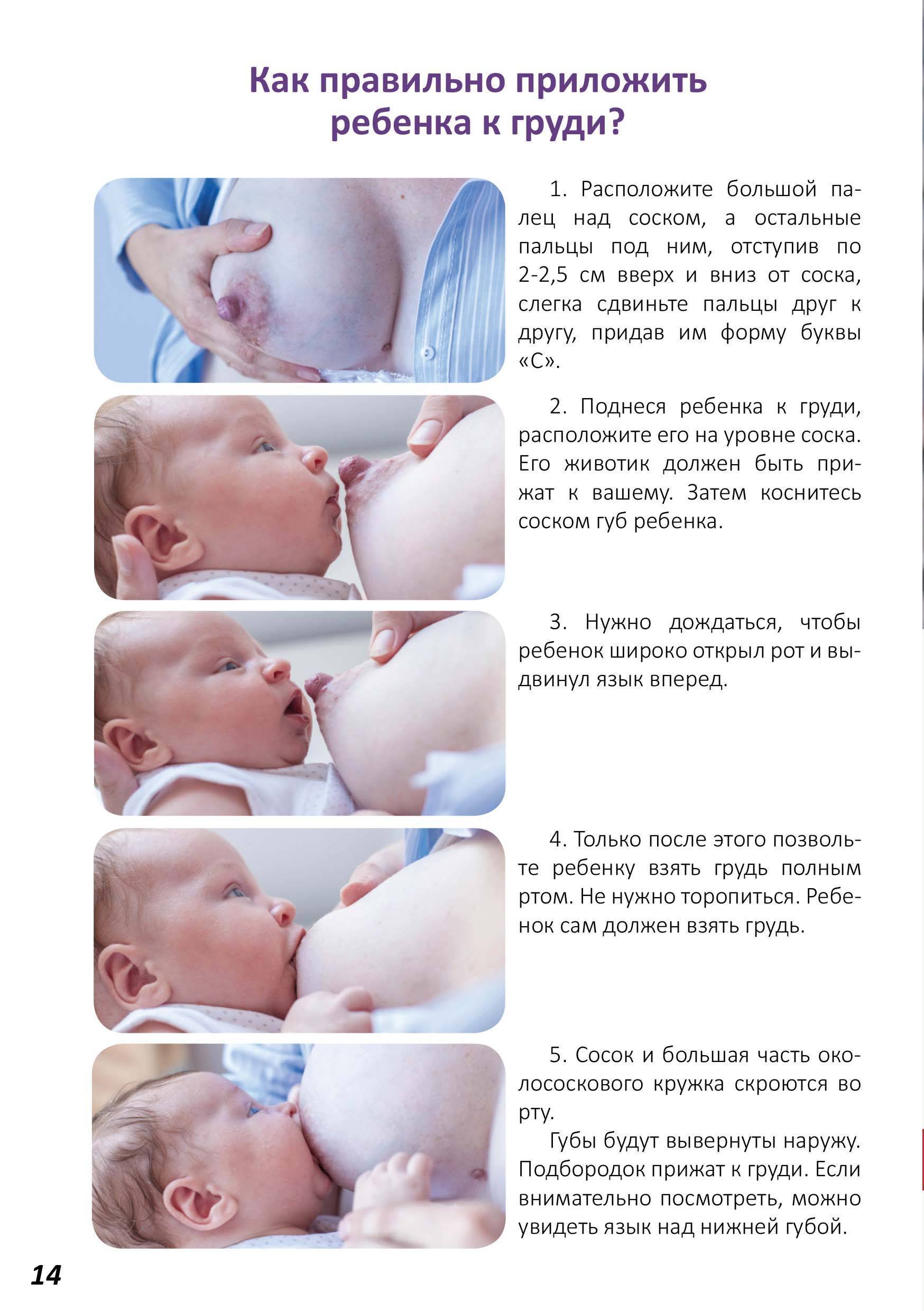 Топ-8 самых удобных поз для кормления детей грудью