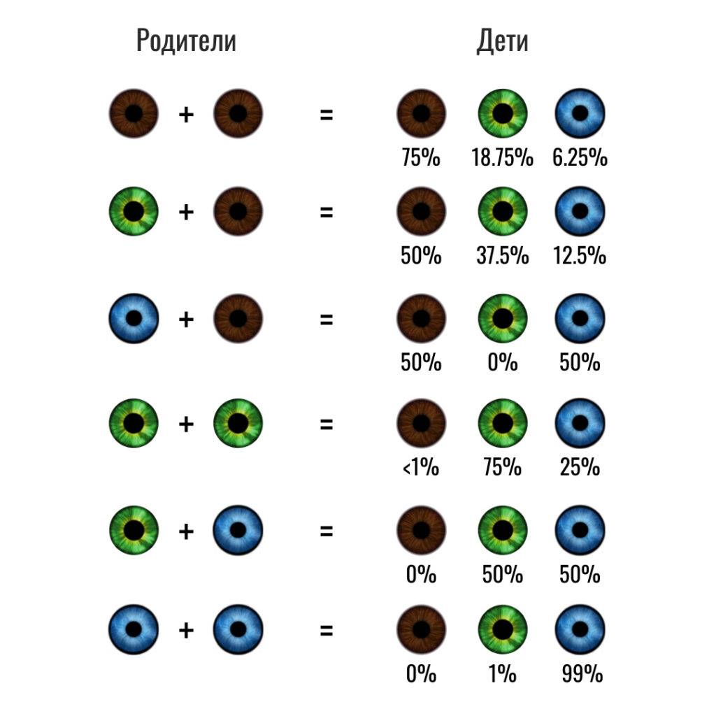 Какие глаза будут у ребенка: как определить цвет по специальной таблице?