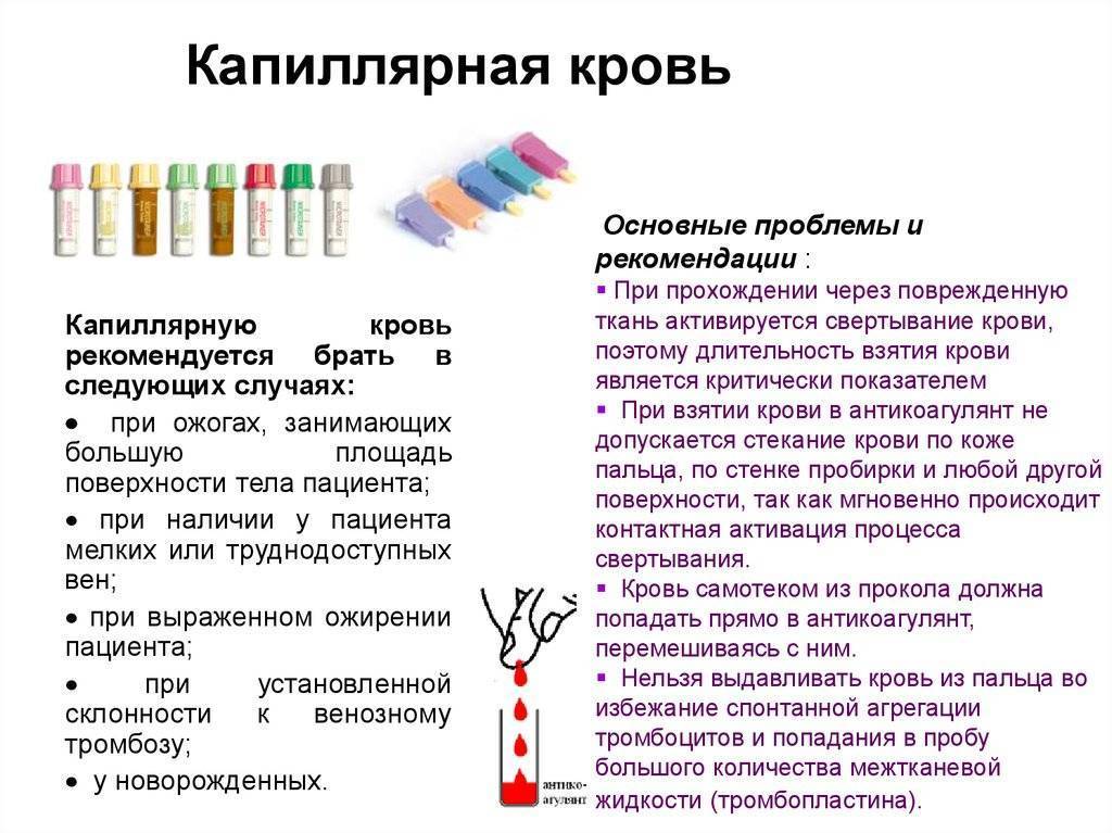 Алгоритм взятия крови из вены вакуумной системой: последовательность, фото, рекомендации