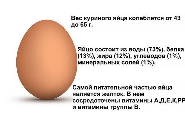 Как правильно вводить яйца в рацион при гв