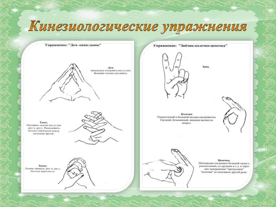 Кинезиологические упражнения для детей: улучшение памяти и внимания