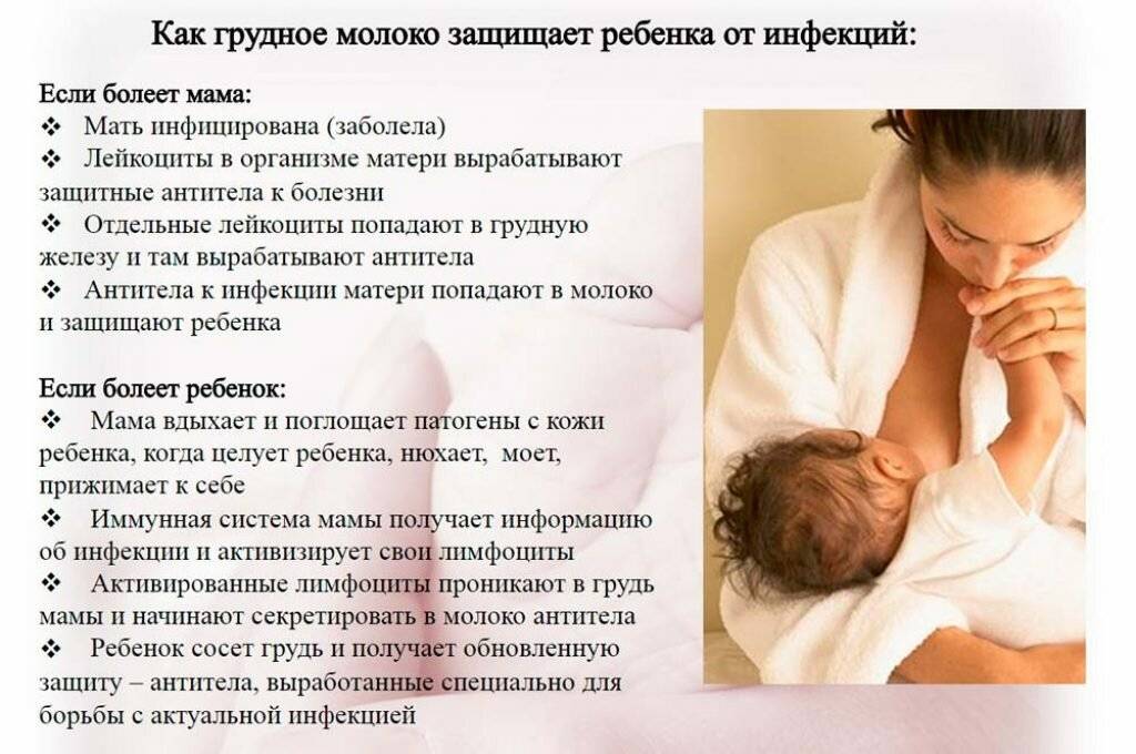 Простуда при грудном вскармливании: отлучить нельзя кормить — мамэксперт