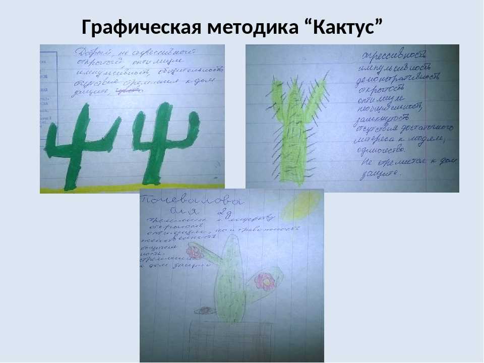 Рисуночный тест-диагностика кактус для детей — графическая методика м.а. панфиловой: суть метода, расшифровка