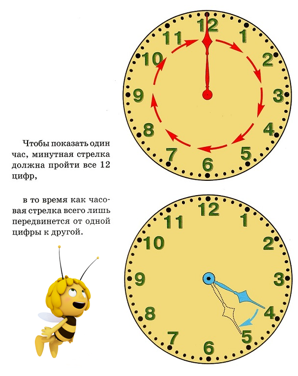 Часы сколько времени посчитать. Как научиться определять время по часам со стрелками детям. Как понять время по часам со стрелками. Научить ребенка определять время по часам циферблат. Как научить ребёнка понимать по часам со стрелками время.
