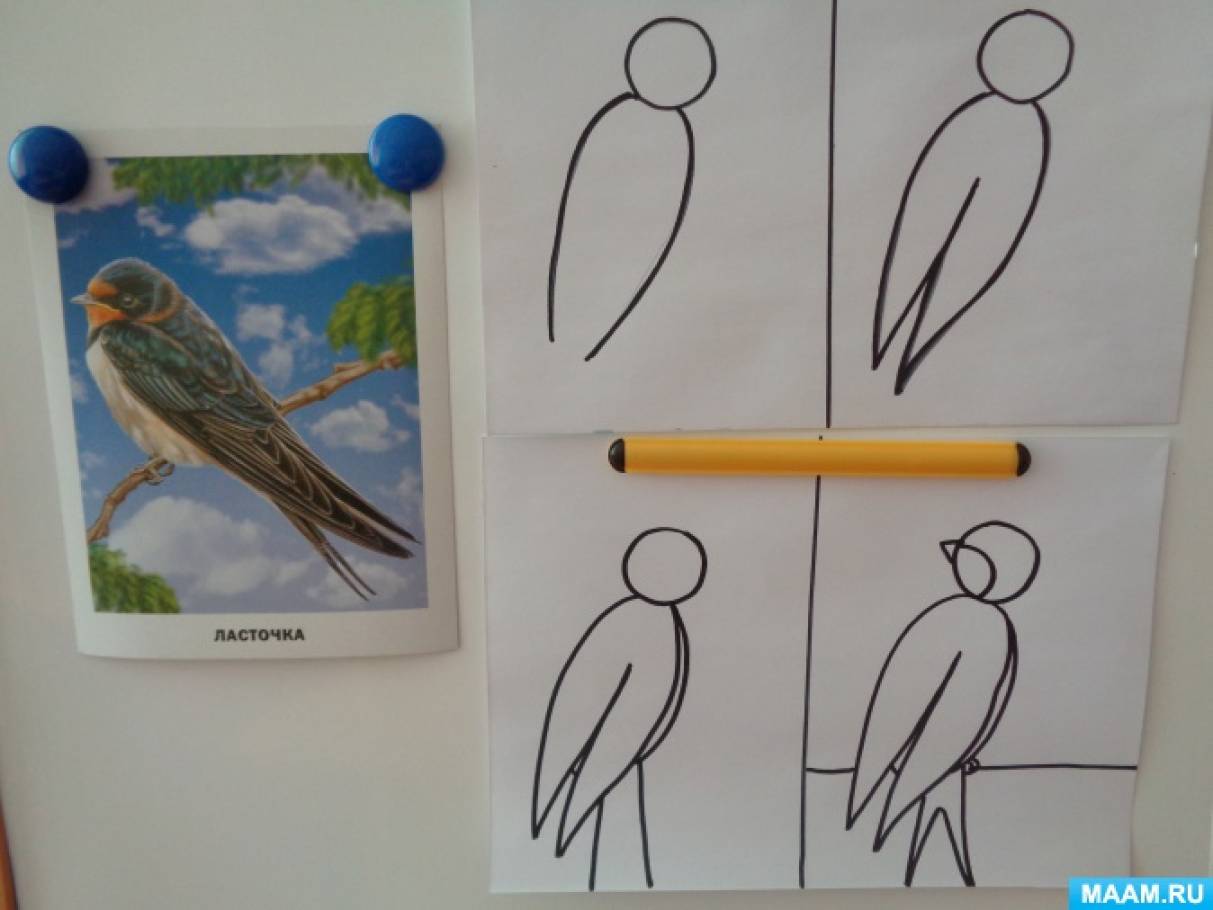 Тема перелетных птиц весной на уроках ИЗО в подготовительных группах