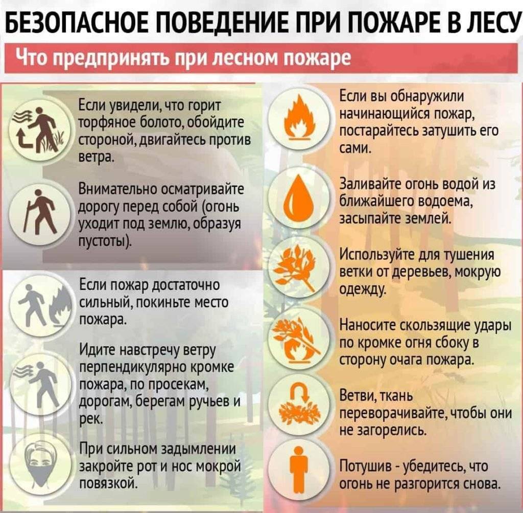 Правила поведения при лесном пожаре - причины возгорания и безопасные действия