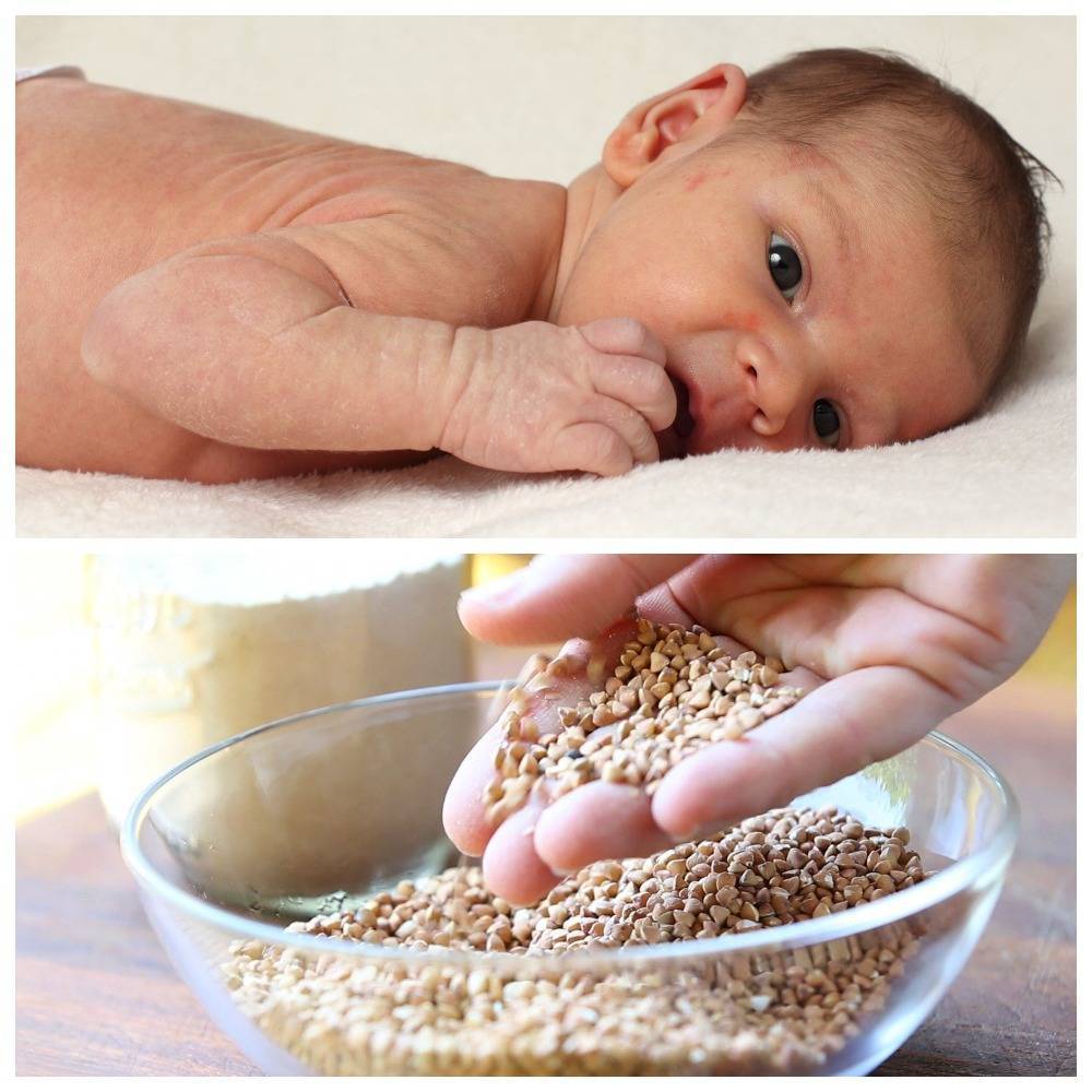 Первый прикорм малыша в 4-6 месяцев - с чего начинать с каши или овощного пюре? принципы, схемы введения прикорма - университет здорового ребёнка няньковских