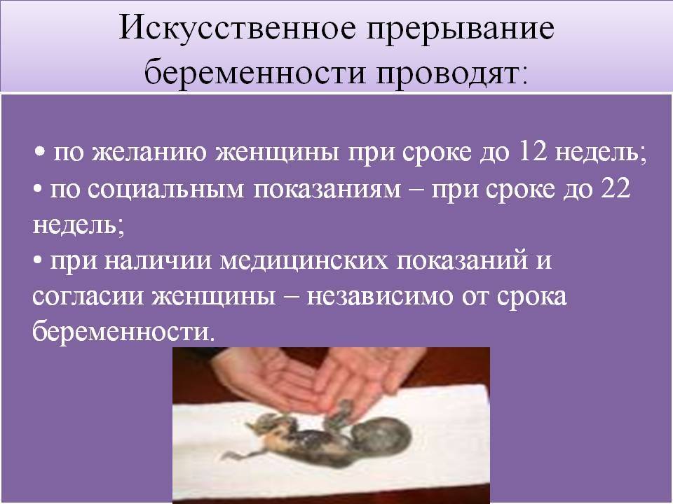 Обследование беременных: план и последовательность