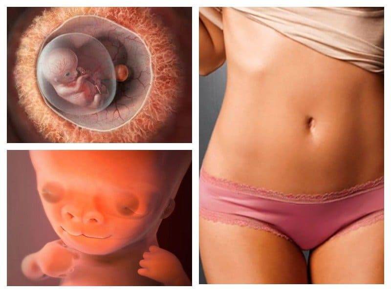 Гепатоз беременных: причины, симптомы, опасность, лечение и профилактика