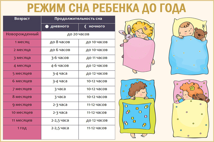 Циклы сна у детей до года