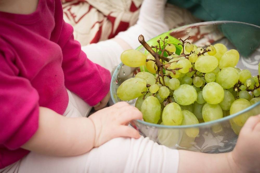 Можно ли виноград при грудном вскармливании зеленый, черный, белый, синий, кишмиш