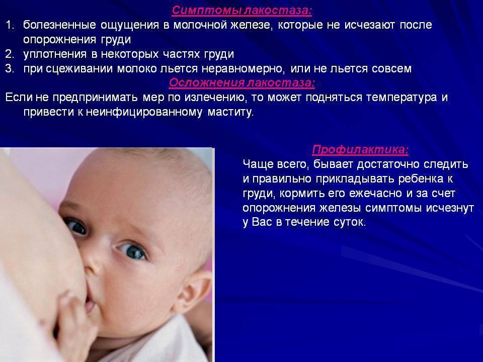 Мастит