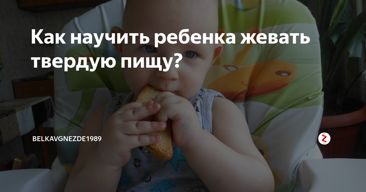 Ребенок не жует в 1-1.5, 2 года: что делать, как научить ребенка жевать и глотать твердую пищу? жевательный рефлекс у ребенка: доктор комаровский — женские советы