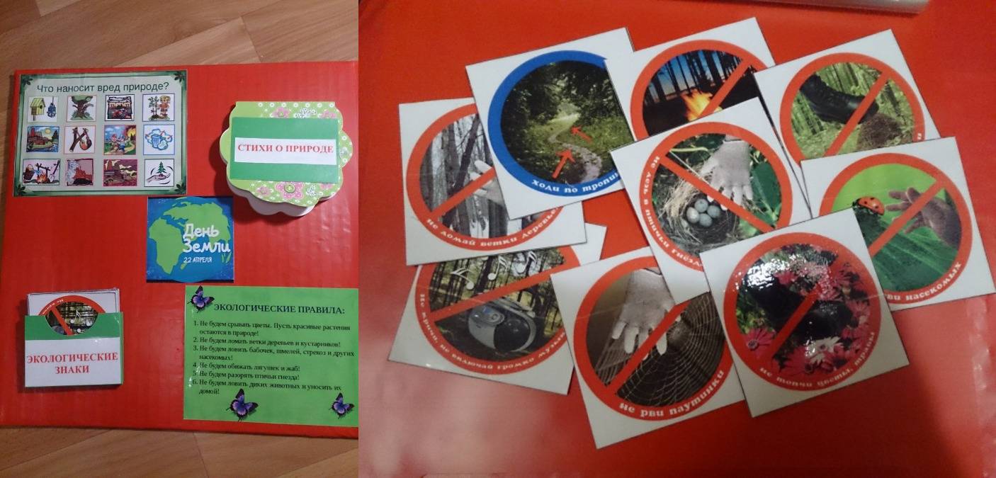 Как сделать лэпбук «Красная книга России» для дошкольников