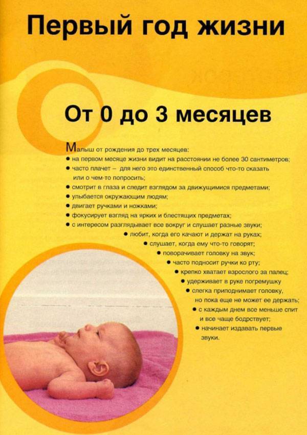 Воспитание ребенка до года | правильное воспитание детей от 0 до 1 года по месяцам: основы, методики, особенности