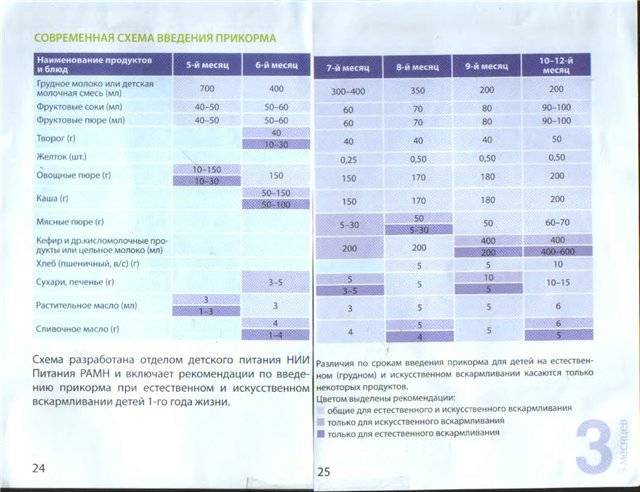 Схема кормления смесью в 4 месяца