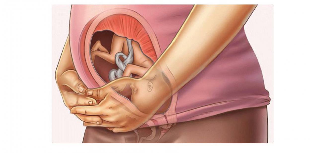 20 неделя беременности шевеления и фото  плода — евромедклиник 24