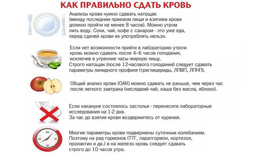 Общий анализ крови у детей: натощак или нет его сдают, можно ли кушать?