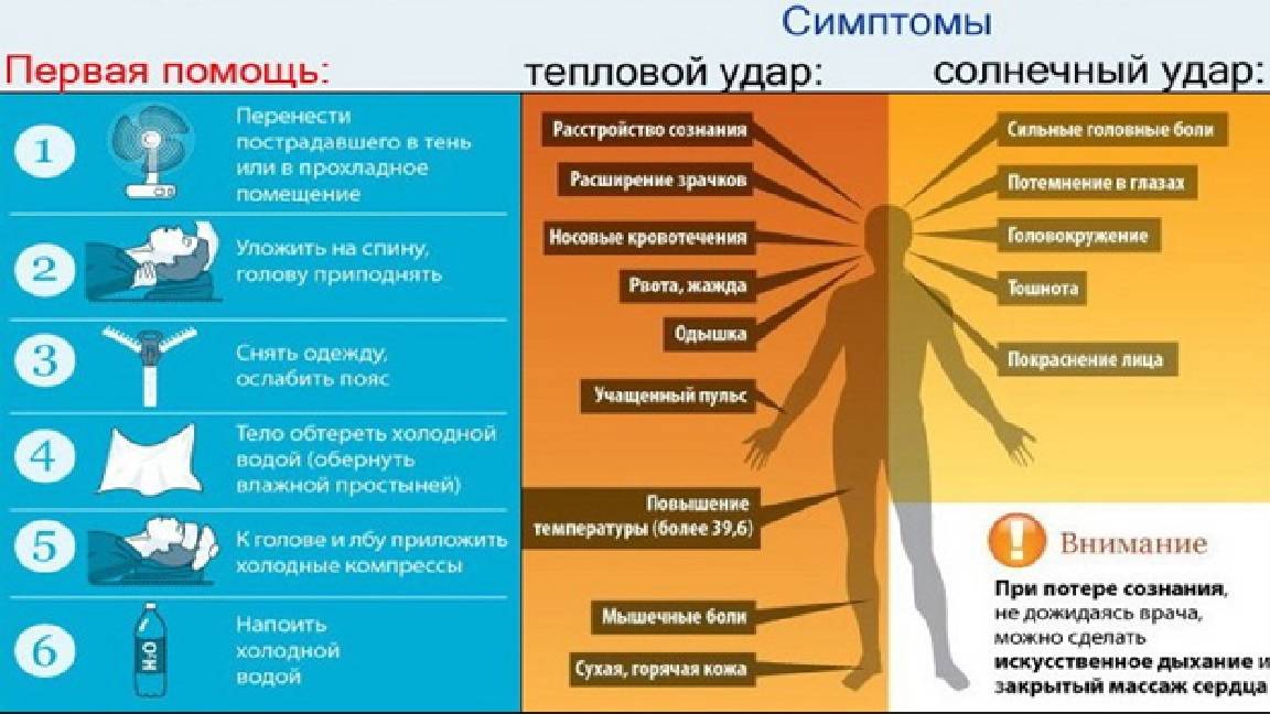 Солнечный и тепловой удар: признаки, симптомы, первая помощь - грязинская црб