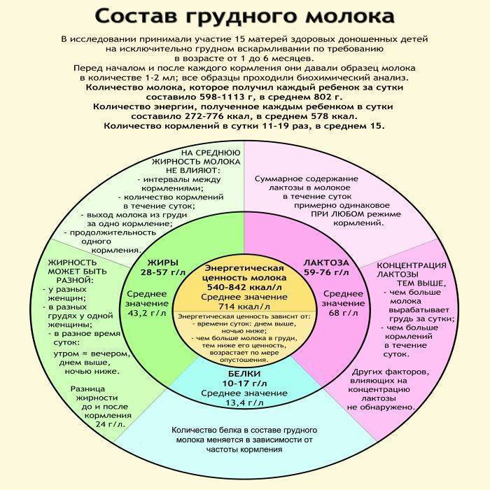 Что нужно знать маме о грудном вскармливании | как правильно наладить кормление грудью