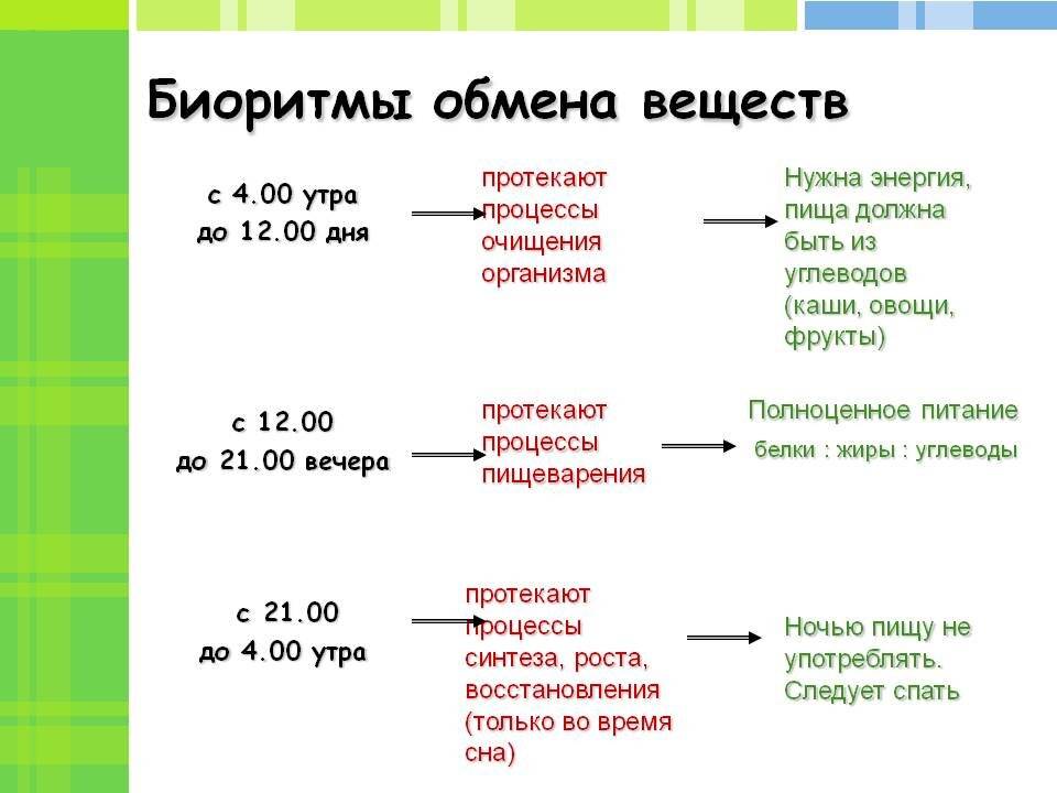 Биоритмы: у каждого свои или всё же это самообман? • блог