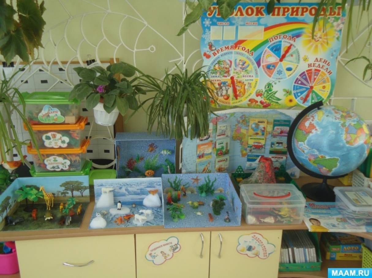 Памятка для воспитателей по оформлению уголка природы в группах учреждений дошкольного образования - государственное учреждение образования "детский сад №152 г.гомеля"