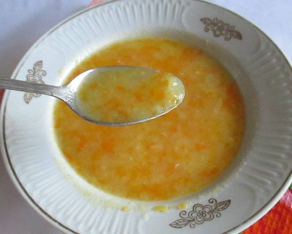 Первый суп для ребенка до года: лучшие рецепты детских супов. какие супы готовить детям 5 — 12 месяцев и в 1 год?
