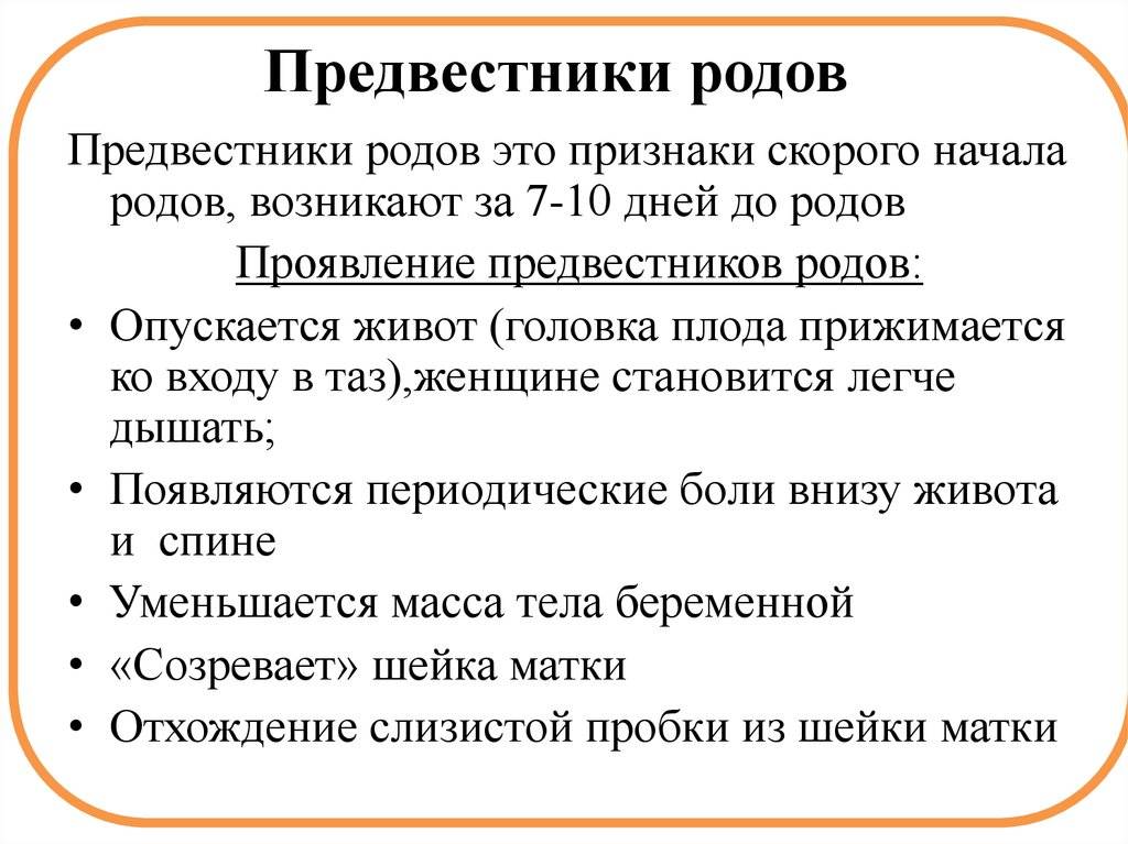 На что следует обратить внимание перед родами