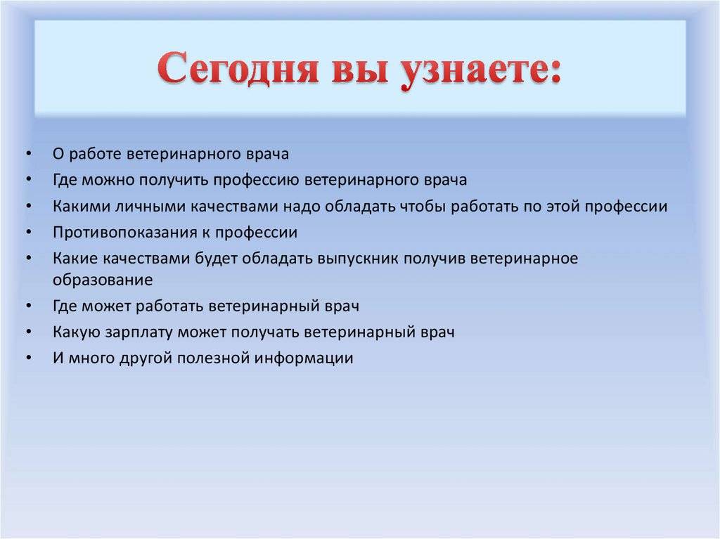 Профессия ветеринар для любительниц животных: кто такой и чем он занимается
