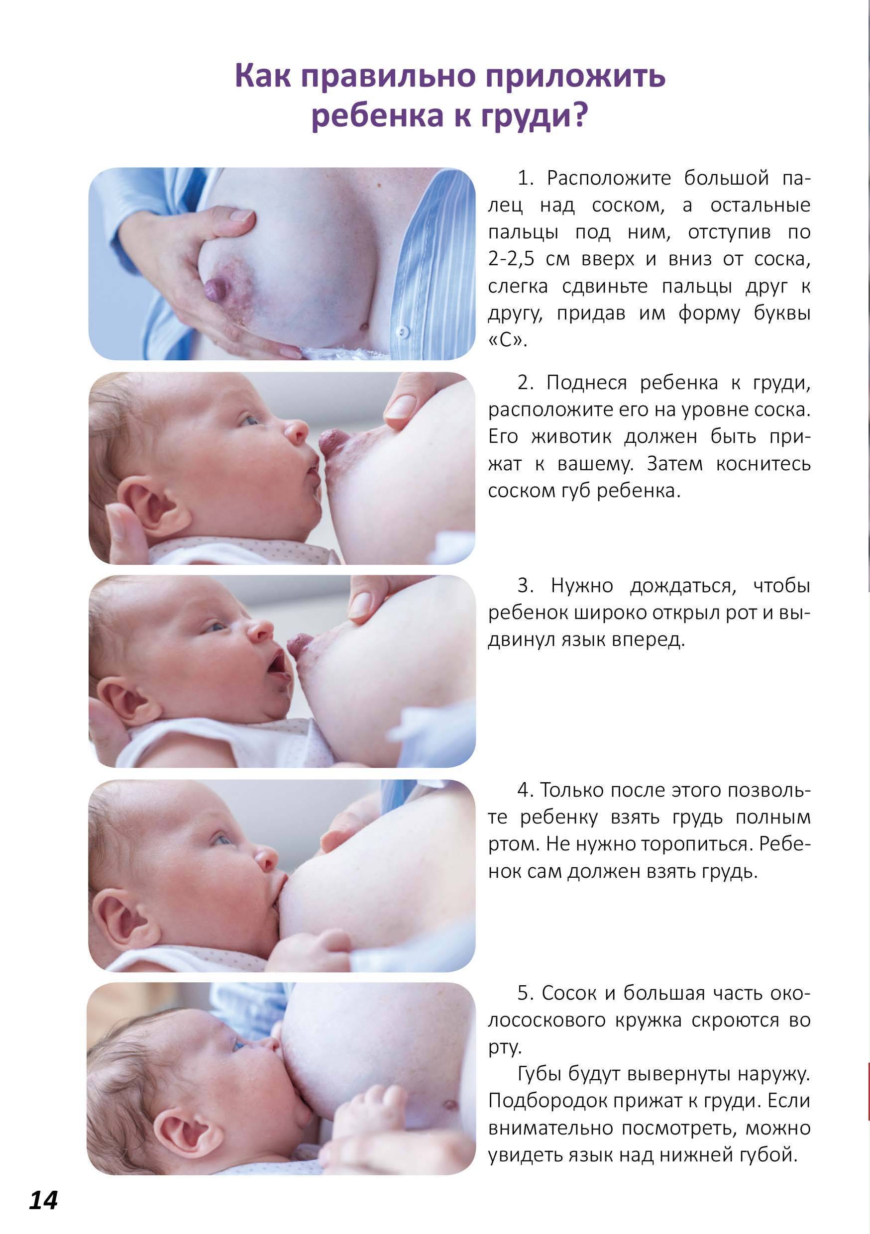 5 позиций для грудного вскармливания | pampers ru