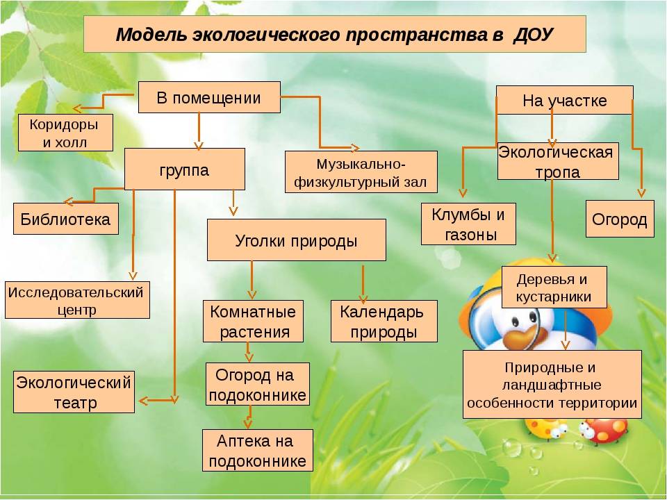 План по экологии в подготовительной группе по фгос