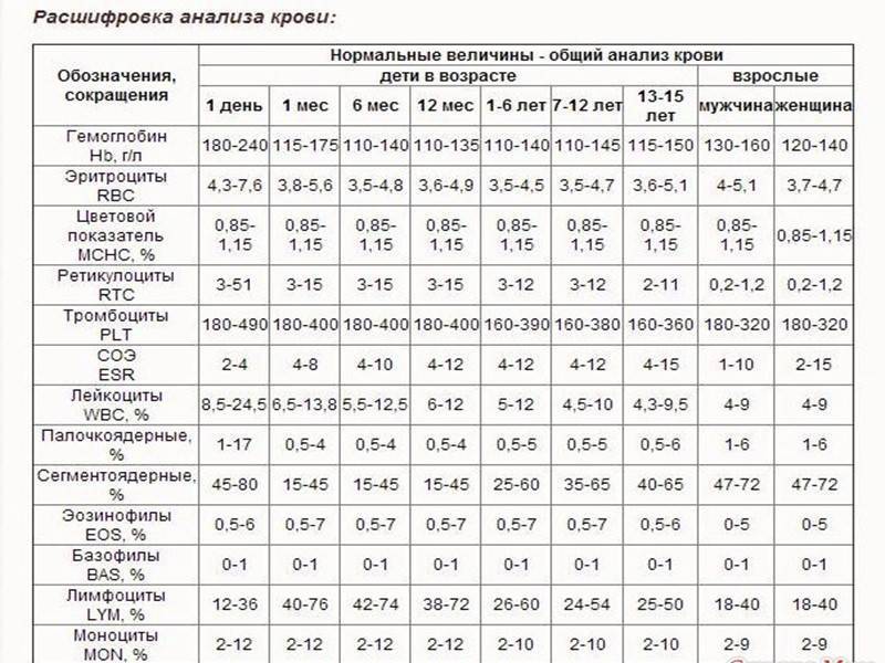 Общий анализ крови у детей, норма и расшифровка результатов (таблица)