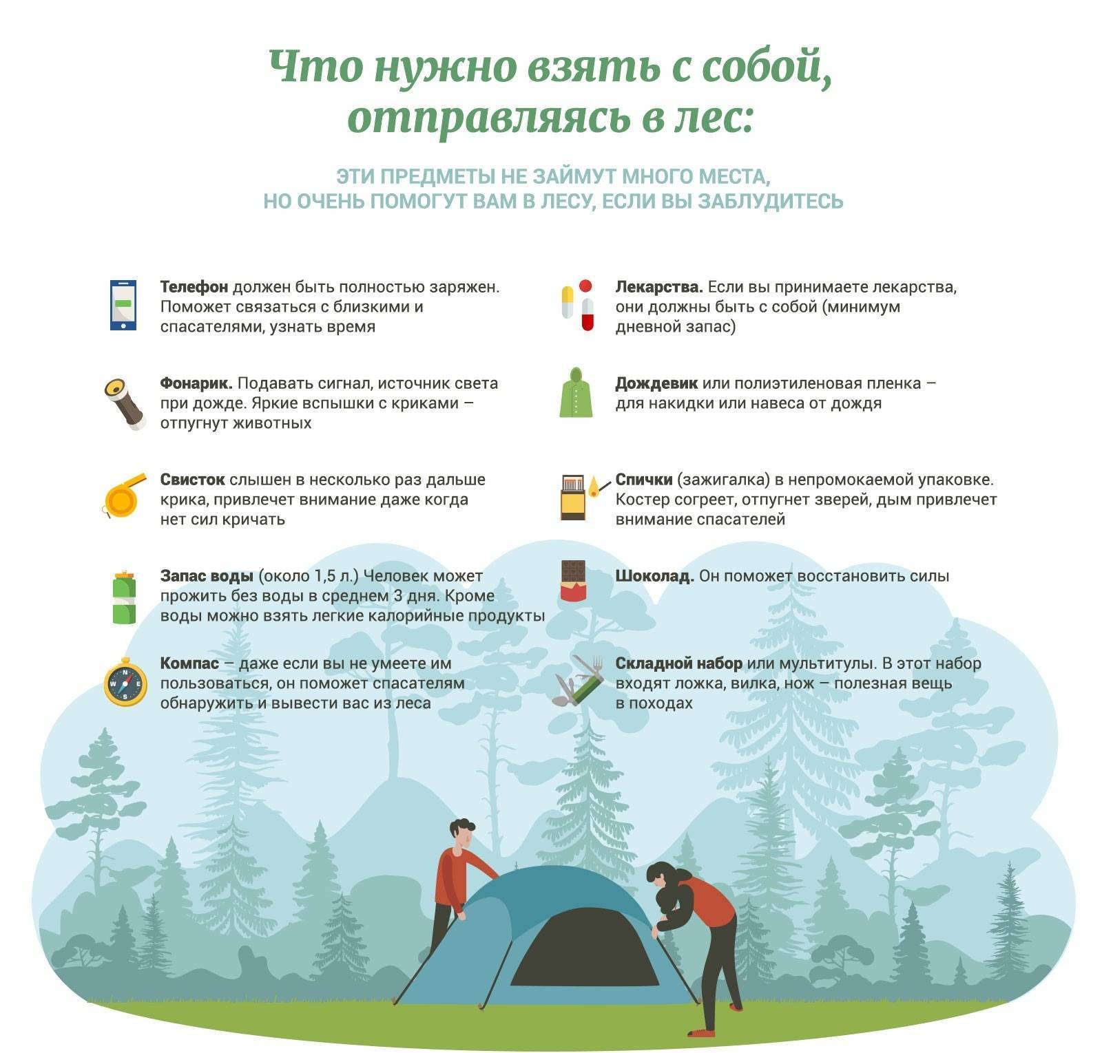 Правила безопасного отдыха в лесу