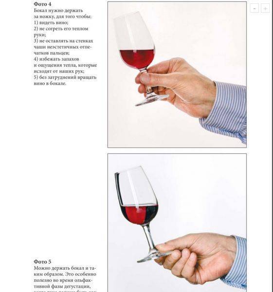 Как правильно держать бокал с красным и белым вином по этикету
