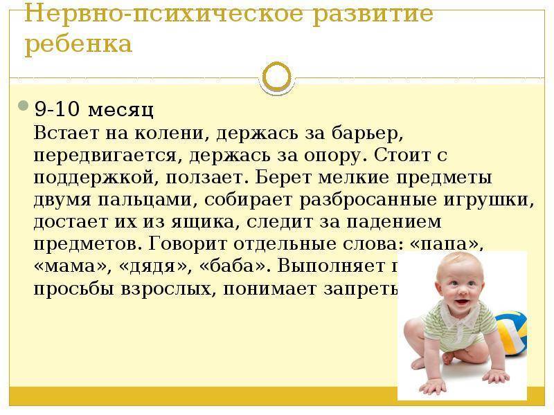 Развитие ребенка в 1 год 10 месяцев: что должен уметь делать малыш, нормы физического развития, рацион питания, а также занятия для развития