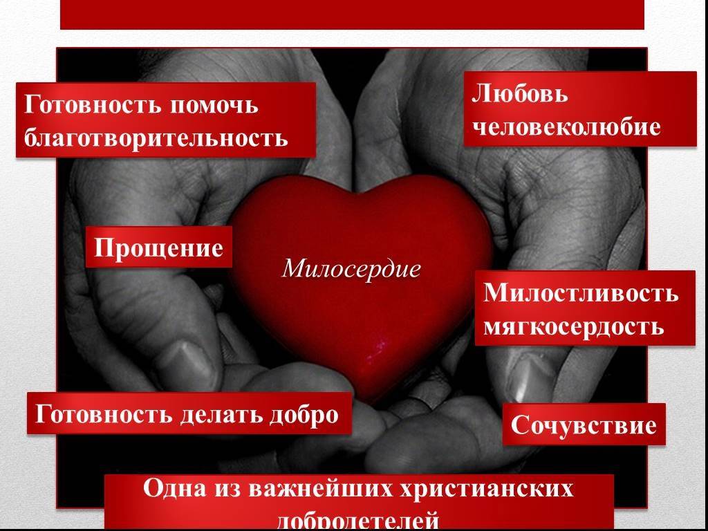 О воспитании милосердия | журнал «православный вестник»