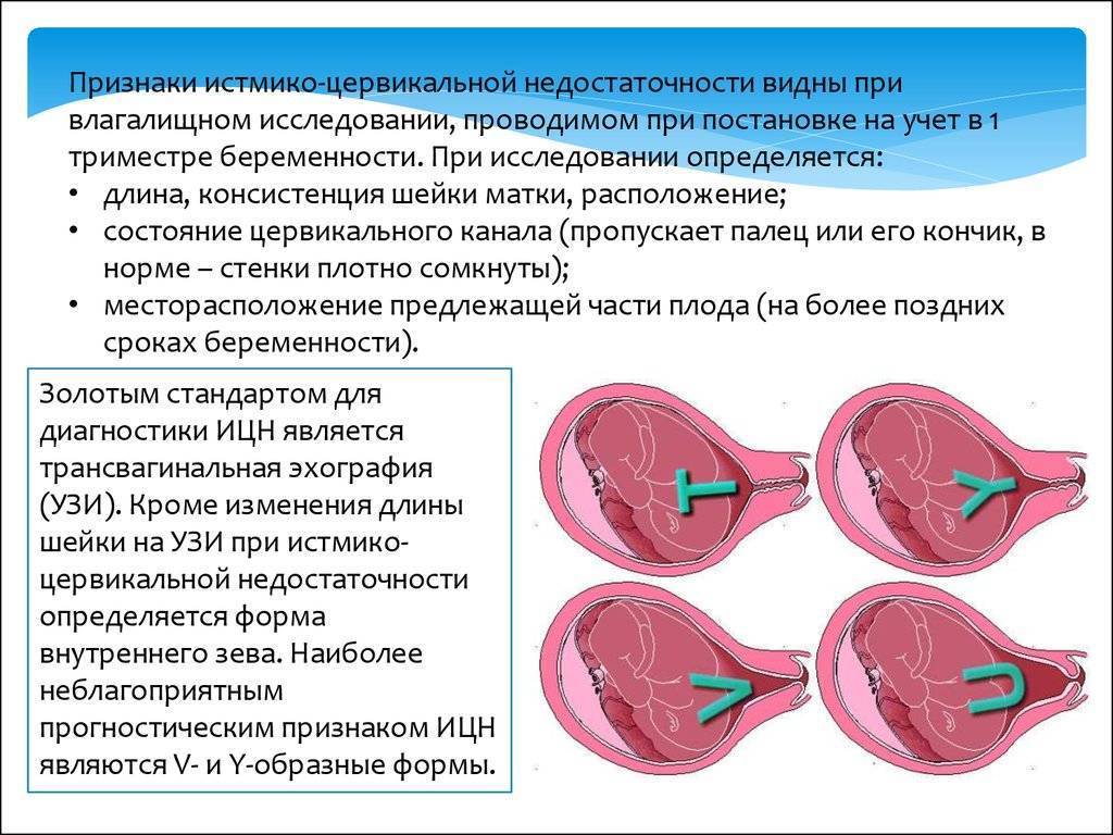 Физиологические изменения в организме при беременности