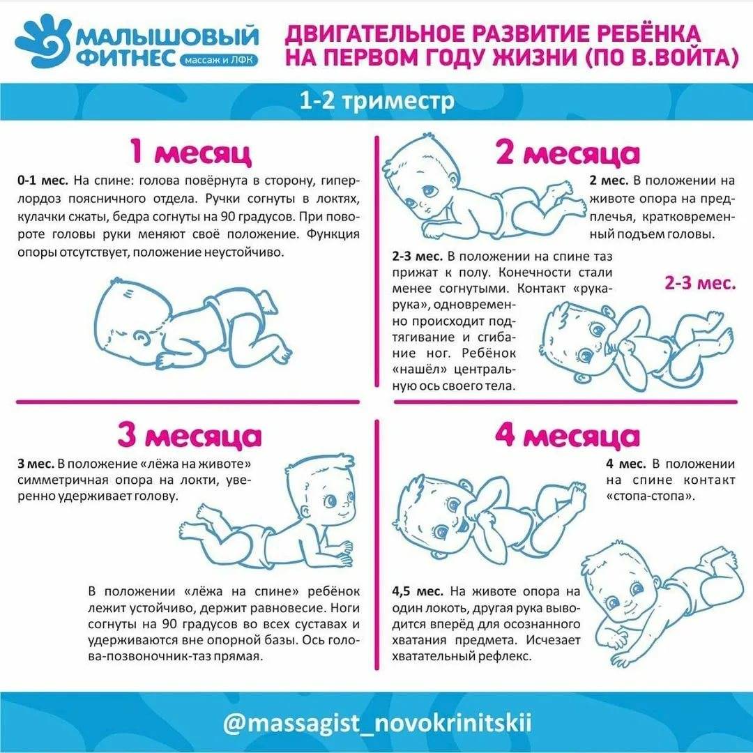 Развитие ребенка 1 год 9 месяцев - детская городская поликлиника №1 г. магнитогорска