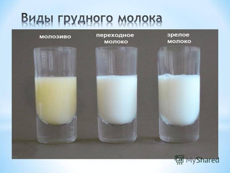 Цвет грудного молока: какого должно быть, почему может быть желтое, прозрачное, розовое или зеленое