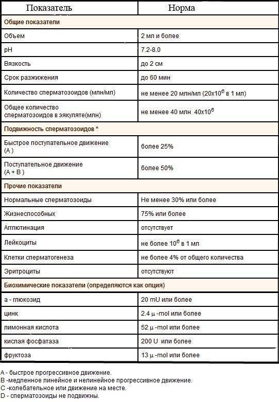Как улучшить спермограмму. влияние физических нагрузок и правильного питания на показатели спермограммы