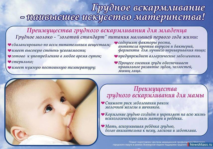 Польза грудного вскармливания - чем полезно грудное молоко - agulife.ru