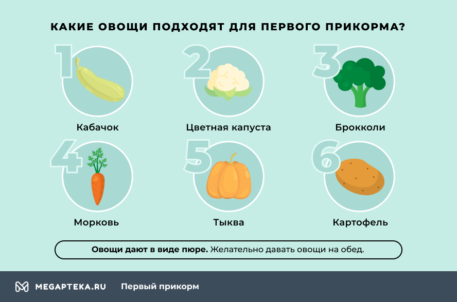 Как приготовить овощное пюре для грудничка: рецепты и разрешенные продукты