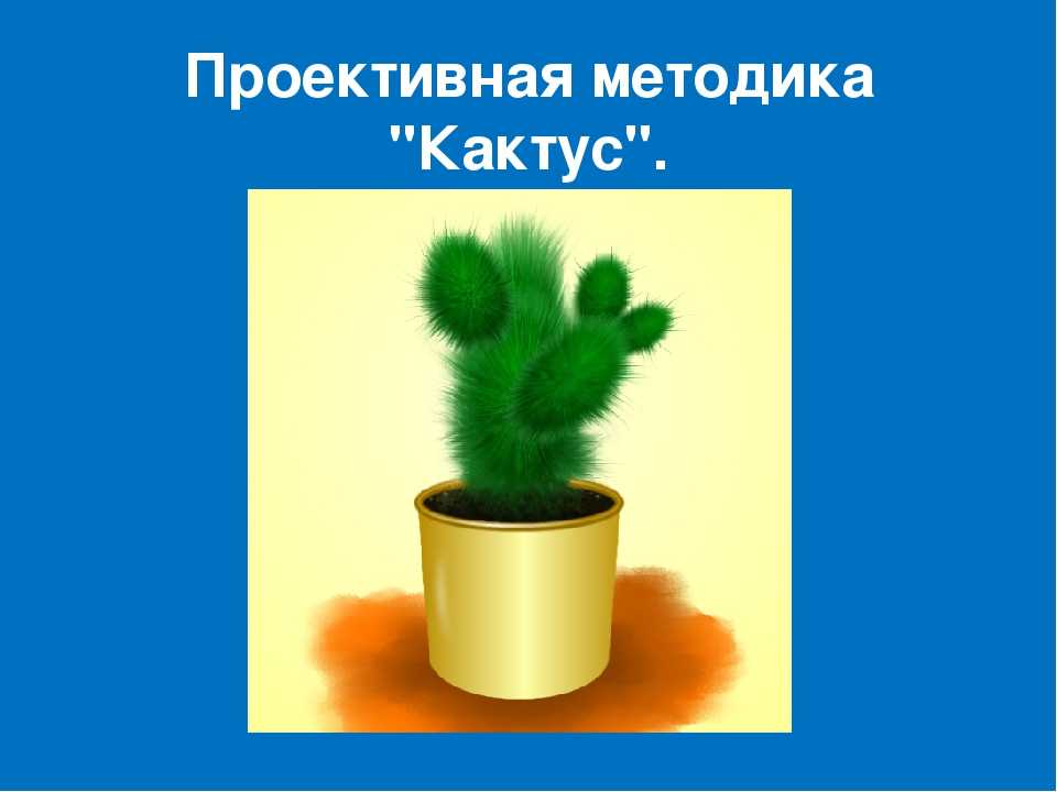 «кактус» графическая методика м.а. панфиловой тест. как применяется методика «кактус» для тестирования дошкольников и младших школьников