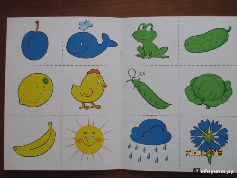 Развитие ребёнка 2-3 лет: упражнения, советы родителям