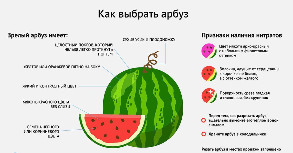 С какого возраста можно давать ребенку арбуз? узнаем! :: syl.ru
