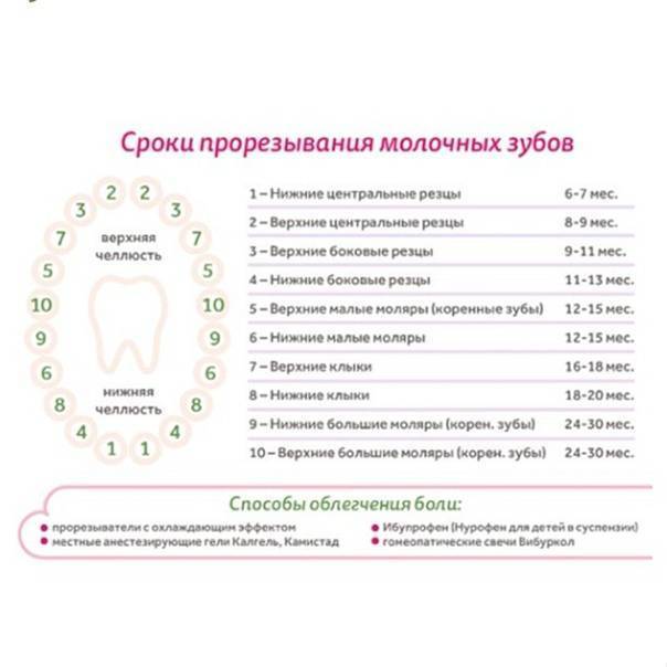 Прорезывание зубов у детей: как помочь ребенку, симптомы и сроки прорезывания | как облегчить боль, когда режутся зубы