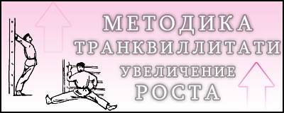 Методика берга для увеличения роста | ячейка общества