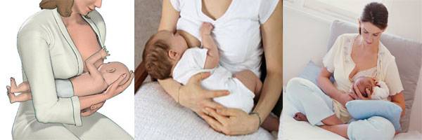 Как правильно держать новорожденного – советы для мам