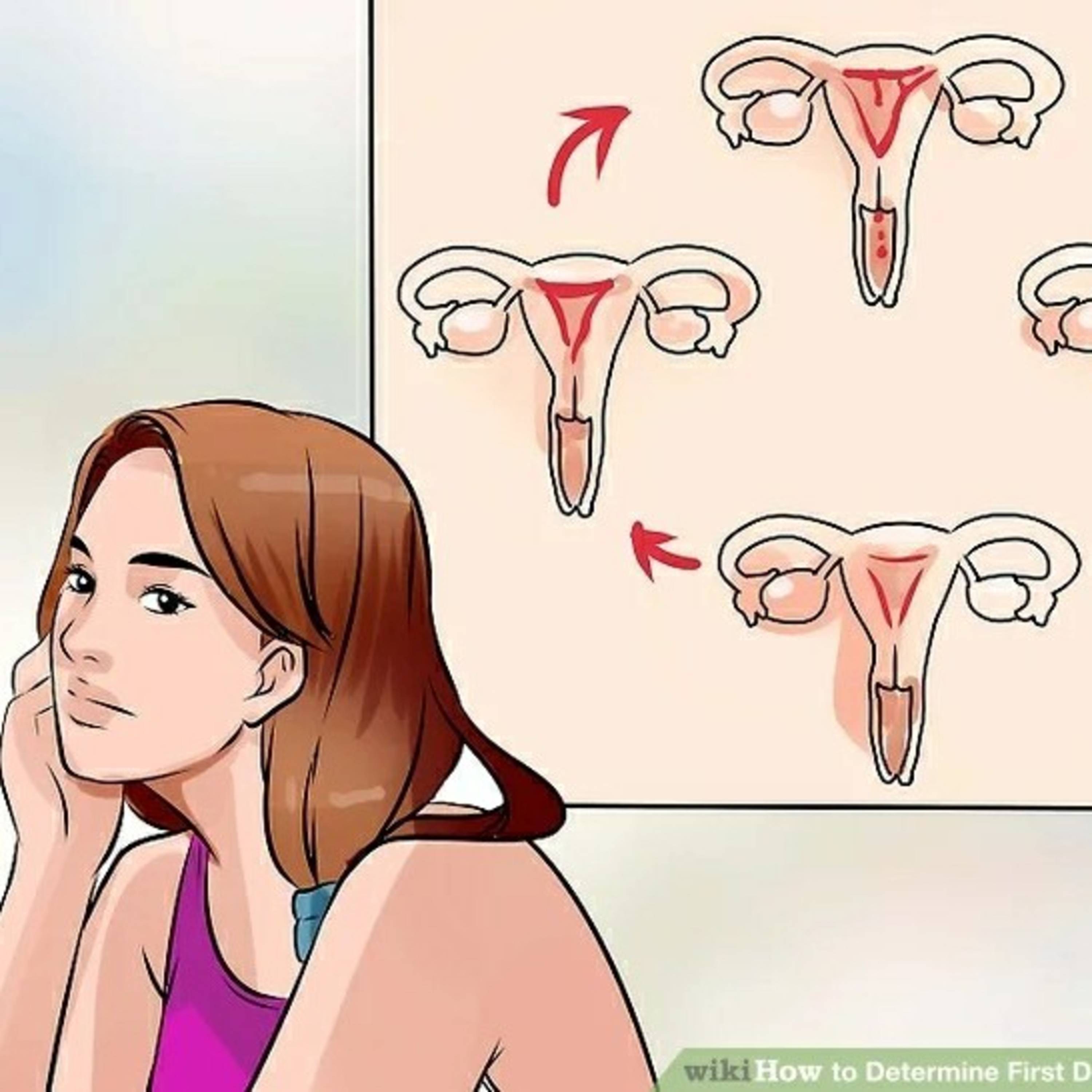 7 важных фактов о вашем менструальном цикле: что надо знать?